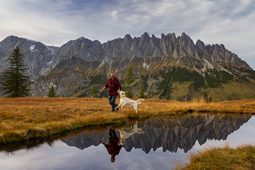 Man with his Golden Retriever dog is playing at little pond with view to mount hochkönig