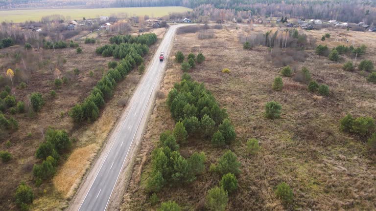 Country road with cars in a field with green fir trees, aerial view.