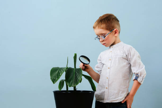 istock Interested ginger boy in glasses looking on a plant through a magnifying glass 1350386154