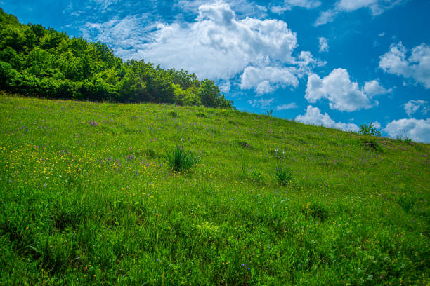 Stara Planina or Old mountain, beautiful landscape in Serbia