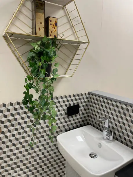 Photo of Image of modern bathroom with white sink and single lever, chrome, monobloc tap, beige vanity unit with black counter top, gold, hexagonal wall shelving with pot of artificial hanging ivy, geometric cube affect tiled walls