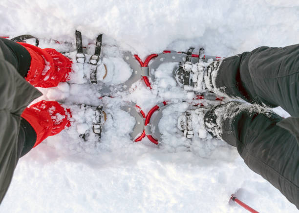 istock snowshoes for swamp waders 1350388680