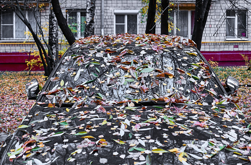 Dark car hood covered with autumn fallen leaves of various colours in Moscow street