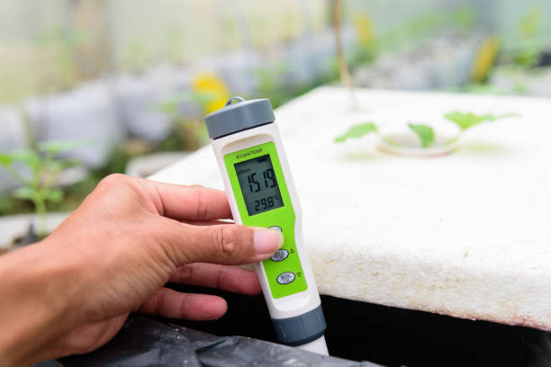 istock Check EC value of of water bin of hydroponics system 1350393244