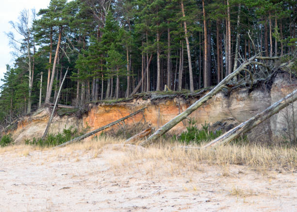 istock Sea cliff with Devonian sandstone outcrops 1350394193