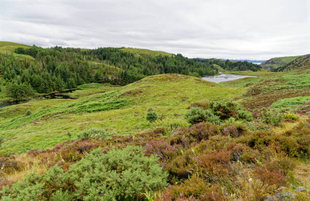 istock Loch Inchard on Sutherland coast - North West Highlands 1350394273