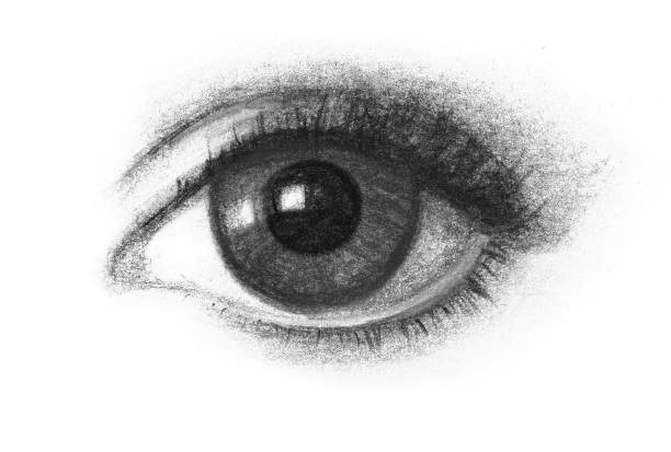 istock Realistic handdrawn sketch of beautiful woman eye 1350395477