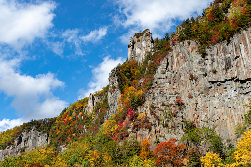 There were colorful autumn leaves on the mountain.