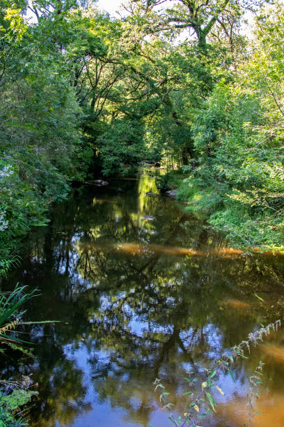 istock The Grayo. Coastal river Scorff. Morbihan. Brittany 1350397896