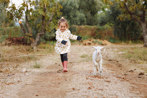 Young girl with sheeps and goats on the green hills on the farm in the springtime.