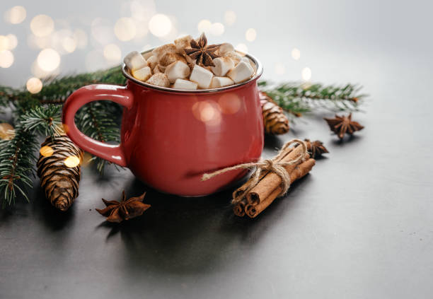 istock Christmas hot chocolate with marshmallow, cinnamon, star anise, and candy cane 1350398183