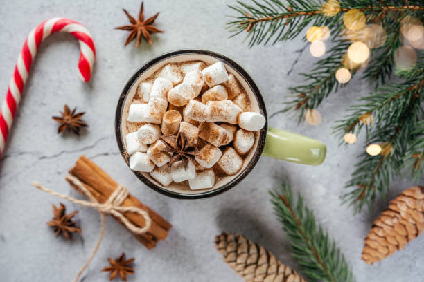 istock Christmas holiday creative layout with marshmallow hot chocolate, pine tree, red berries and pin cones 1350398242