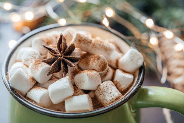 istock Christmas hot chocolate with marshmallow, cinnamon, star anise, and candy cane 1350398324