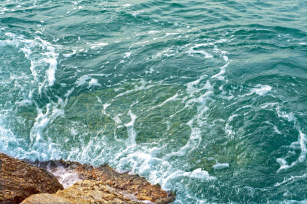 istock Sea water and waves hit the rocks on the shore. 1350399242