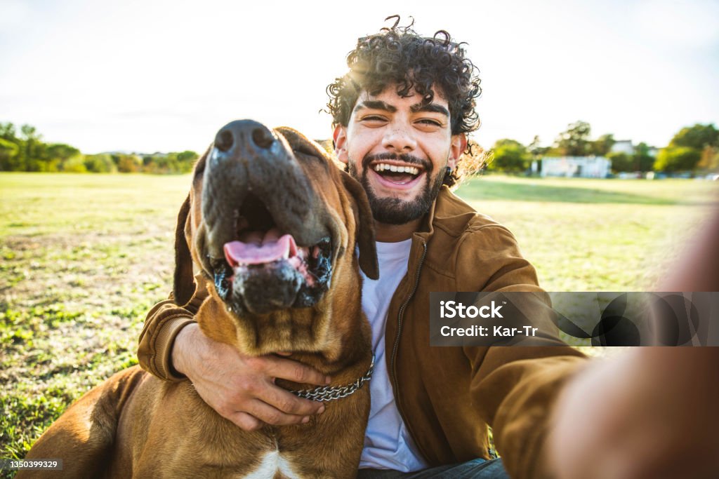 friendship between man and animals