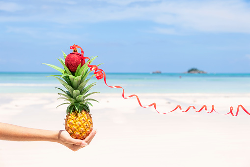 Fresh mini Pineapple on woman hand with single red Christmas ball decoration as a tropical beach Christmas concept.