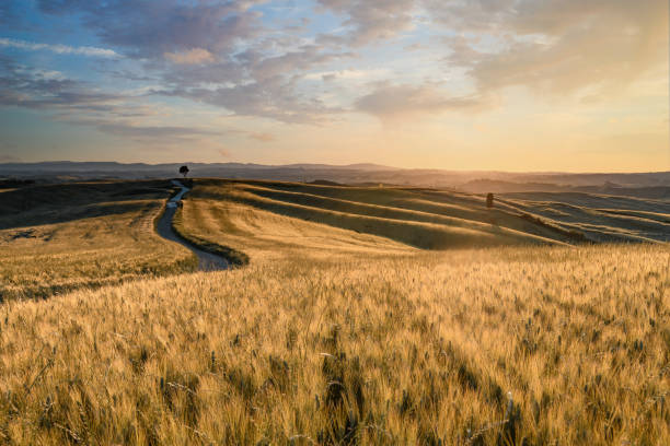 istock Tuscany Landscape At Sunset - Crete Senesi 1350404009