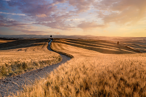 Tuscany Landscape At Sunset - Crete Senesi