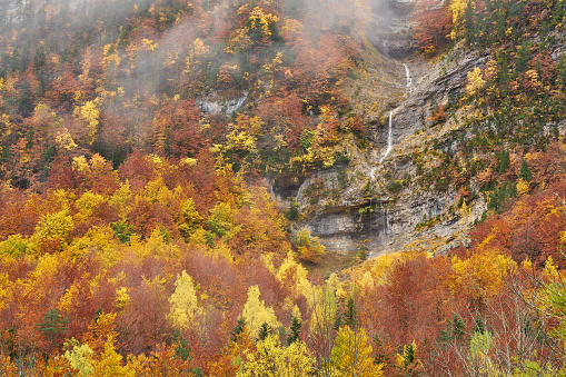 Colorful autumn season on Ordesa and Monte Perdido national park in Pyrenees of Spain.\