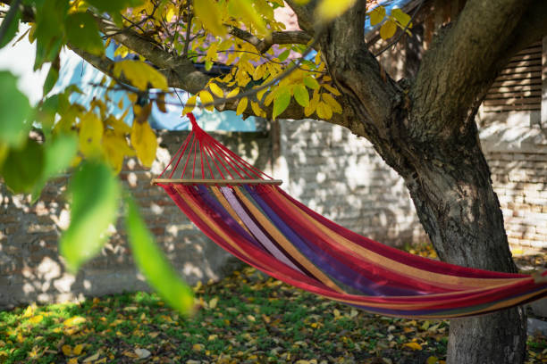istock A bright multi-colored hammock hangs on a tree in the backyard of a country house on an autumn day 1350408463
