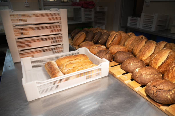 istock Fresh rolls of craft craft bread lies on the table in the bakery. Loading hot bread into white plastic boxes for transportation 1350410761