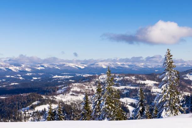 istock View of the evening winter wide panorama 1350412186