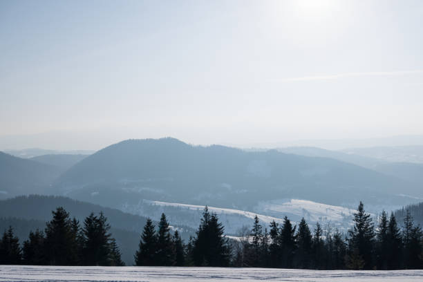 Fascinating sunny landscape of a winter forest located on a snowy slope on a sunny frosty winter day. The end of a holiday at a ski resort