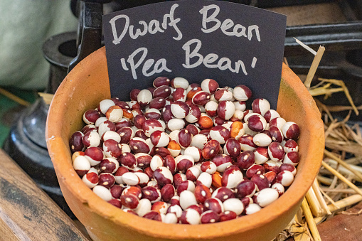 Dwarf Bean 'Pea Bean' in London, England