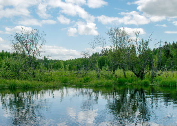 istock colorful summer landscape from the river 1350413194