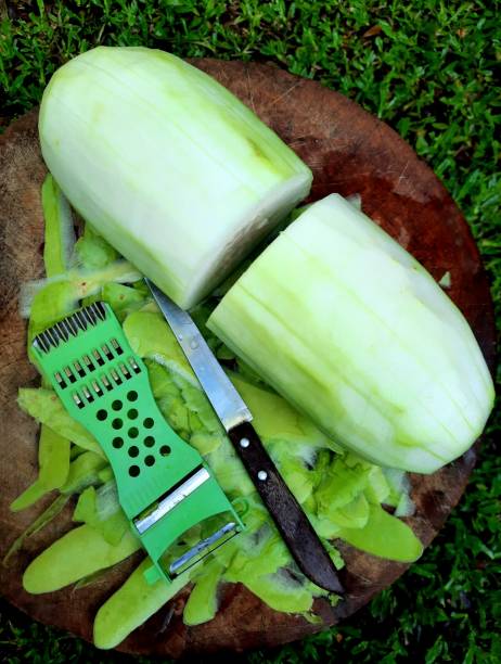 istock Peeling Opo Squash on cutting board - food preparation. 1350416131