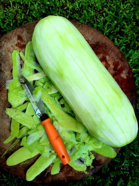 istock Peeling Opo Squash on cutting board - food preparation. 1350416133