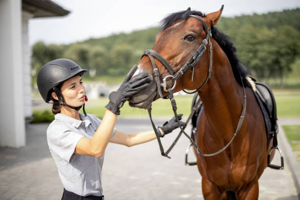 istock Horsewoman and Thoroughbred 1350421162