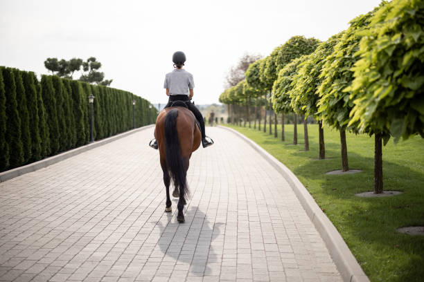 Horsewoman and Thoroughbred