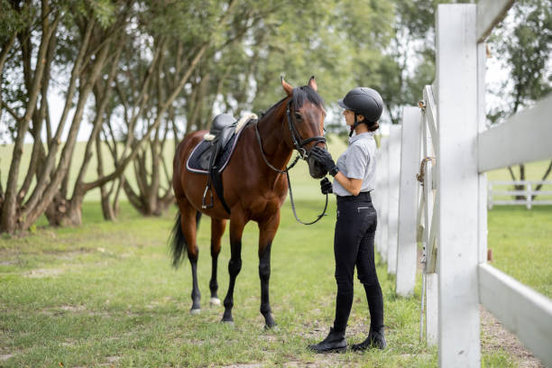 istock Horsewoman and Thoroughbred 1350421372