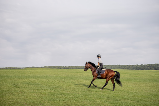 Side view of horsewoman riding brown Thoroughbred horse on green meadow in countryside. Concept of rural resting and leisure.
