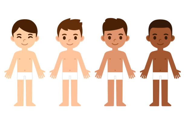 Cartoon boys diverse skin tones Cartoon boys in underwear, body anatomy template. Asian, Caucasian, Brown and Black skin. Isolated vector infographic illustration set. skin tone chart stock illustrations