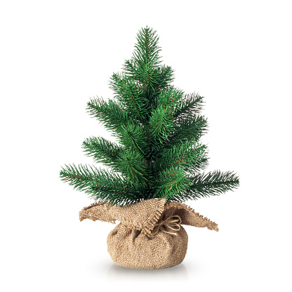 Unadorned Christmas tree isolated on white background with reflection and soft shadow. Small artifical spruce tree in pot wrapped in burlap sack.