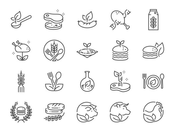 ilustraciones, imágenes clip art, dibujos animados e iconos de stock de conjunto de iconos de la línea de alimentos a base de plantas. incluye los íconos como alimentos de bioingefacción, veganos, vegetarianos, comidas, hamburguesas, nutritivos y más. - hamburguesa vegetariana