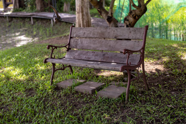 istock Wooden bench in the park 1350423084