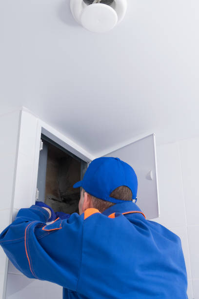 istock the worker repairs ventilation in the room, rear view 1350424851