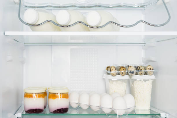 produkty mleczne z ekologicznego gospodarstwa na półkach w lodówce - kohlrabi purple cabbage organic zdjęcia i obrazy z banku zdjęć