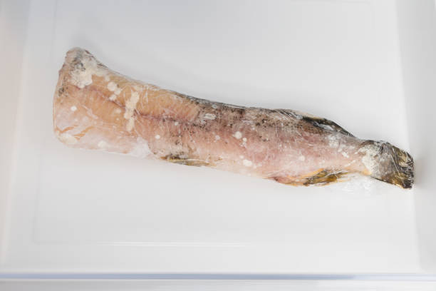 istock frozen fish in the freezer drawer, close up 1350424912
