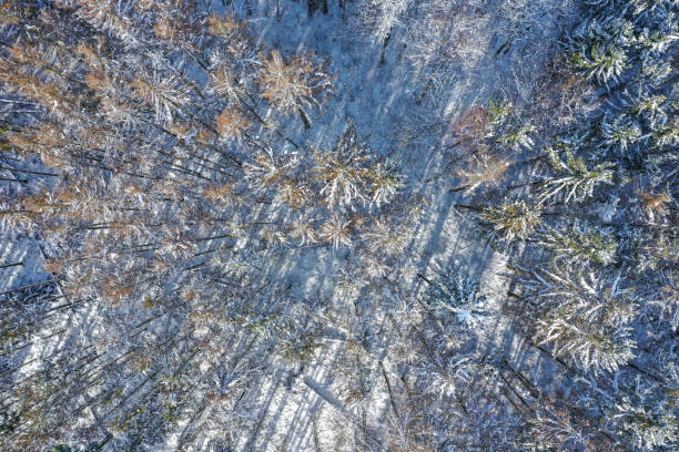 istock Snow-covered trees in the Taunus / Germany from above 1350427398