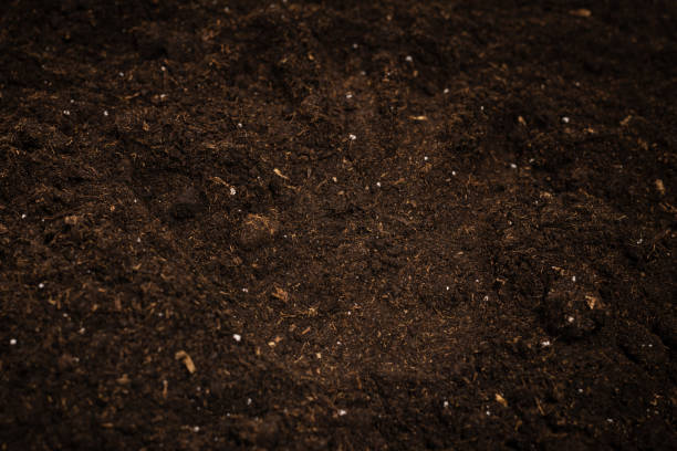 istock Woman hand trace on a ground. 1350428552