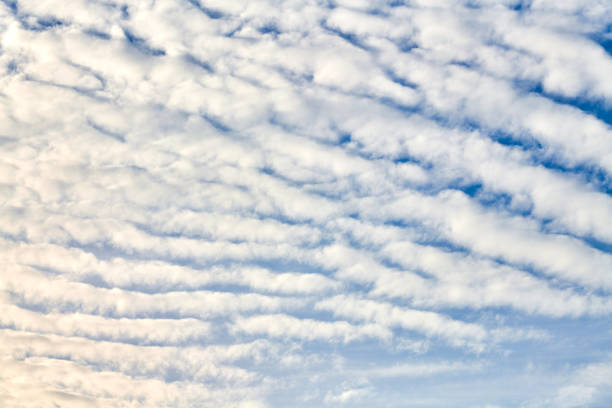 Beautiful blue sky with unusual white Altocumulus undulatus clouds, extraordinary cloud formation. White cirrocumulus clouds, altocumulus cloudy skies, stratocumulus cloud texture, blue sky background