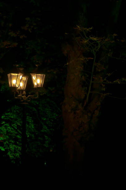 istock burning street lamp by a tree 1350429863