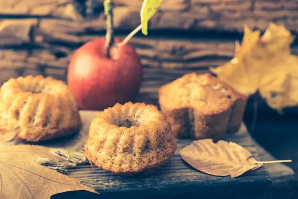 Homemade mini apple guglhupf, bundt cakes, muffins, on rustic wooden background