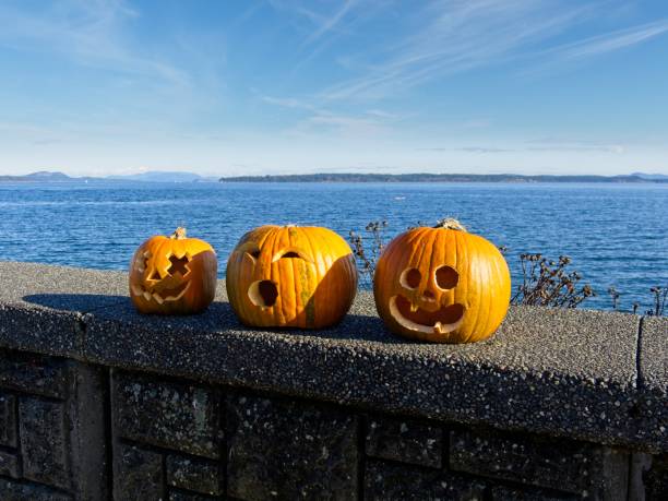 istock Pumpkins at the shore 1350430961