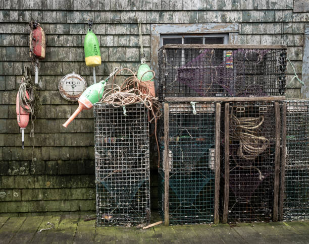 Bernard, ME - USA - Oct.15,2021: Horitzonal view of a shingled workshop in a dock area, flanked by lobster traps, trap buoys, rope and other fishing implements.