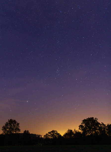 istock Clear autumn night sky with stars and tree silhouette. Czech landscape 1350432255